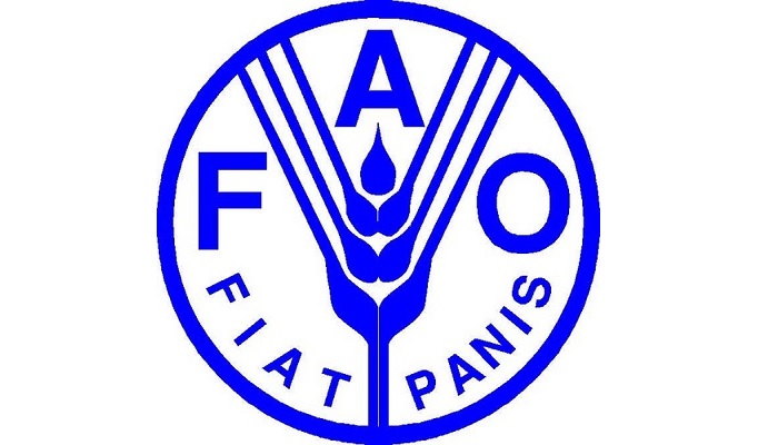 Глобальные вызовы продовольственной безопасности: ФАО предупреждает о риске в 17 странах