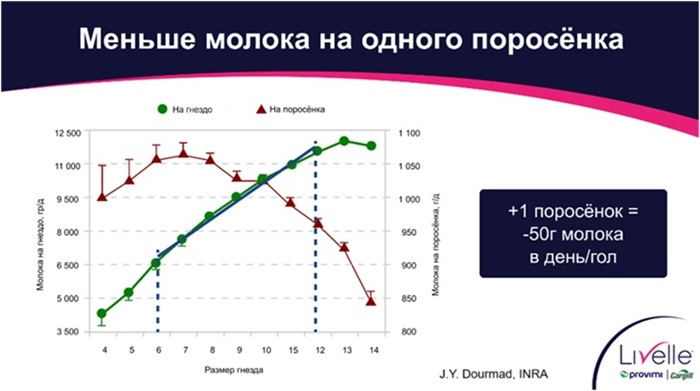 Молочность свиноматки – как не упустить потенциал?
