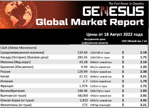 Genesus, обзор мировых рынков. Юго-Восточная Азия. Август 2022
