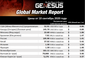 Genesus, обзор мировых рынков Юго-Восточная Азия, сентябрь 2020