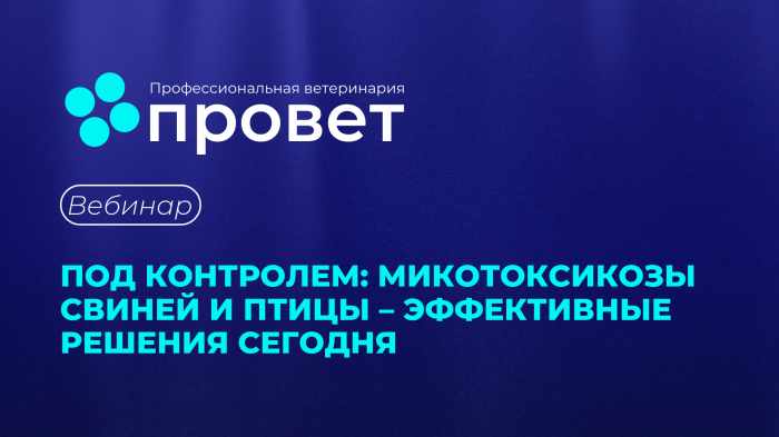 Вебинар: Микотоксикозы в свиноводстве и птицеводстве — эффективные решения сегодня