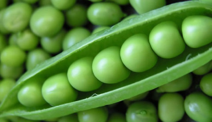 В ТГУ предложили модель создания новых продуктов из сельхозотходов