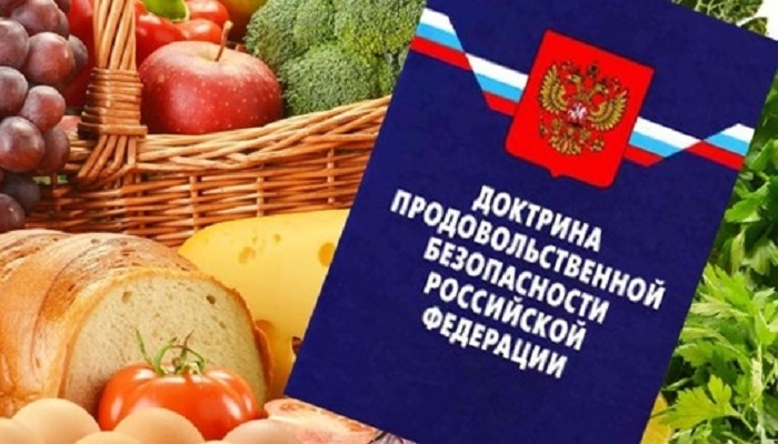 Продовольственная безопасность России: достижения аграриев и поддержка государства