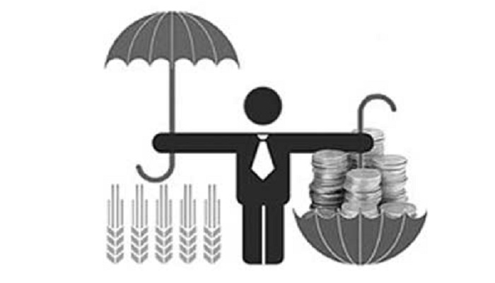 Страхование посевов может стать обязательным для получения льготных кредитов