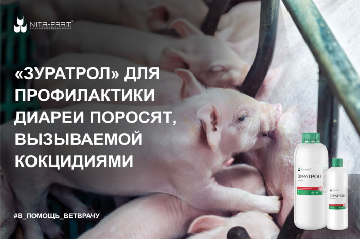 Применение препарата "Зуратрол" для профилактики диареи поросят, вызываемой кокцидиями