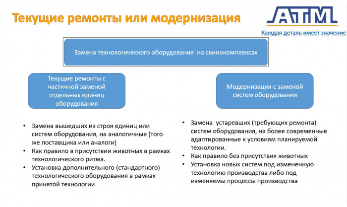 Замена технологического оборудования в свиноводстве: необходимость и перспективы