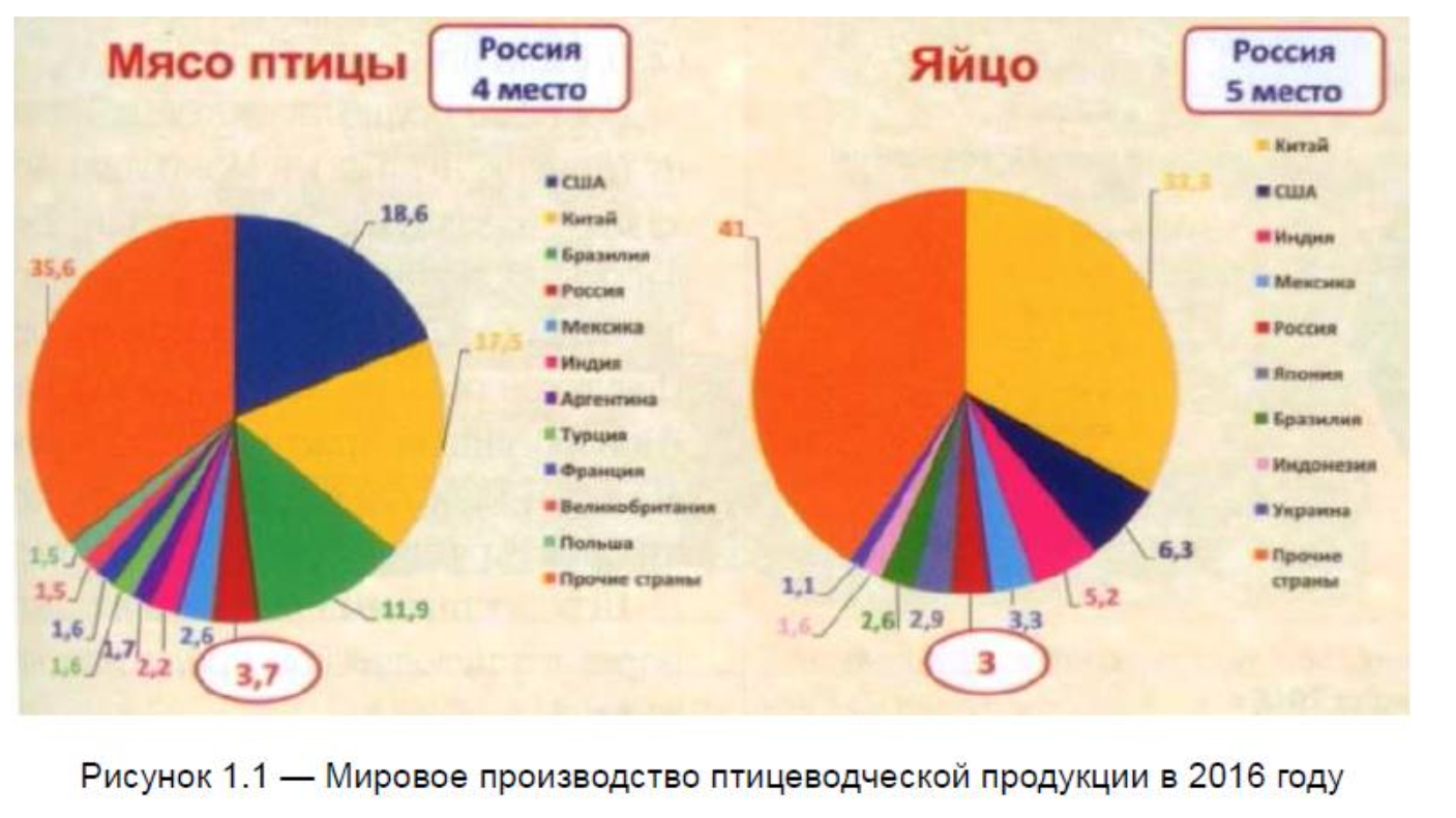 Птицеводство страны Лидеры. Мировые Лидеры производства мяса птицы. Страны производители мяса. Птицеводство страны производители.