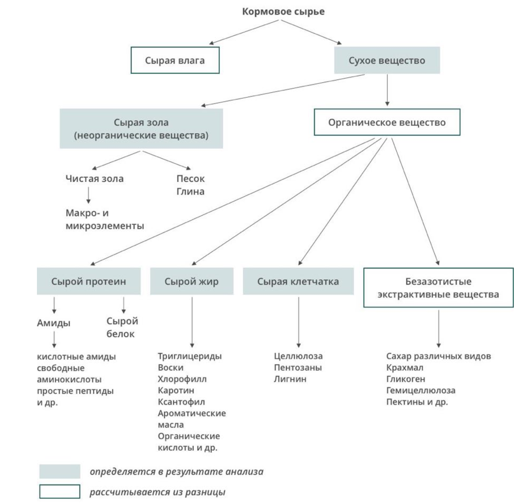 Схема химического анализа кормов
