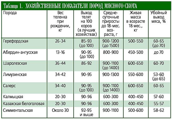 Бизнес план по разведению крупного рогатого скота