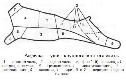 Туша коровы схема разделки