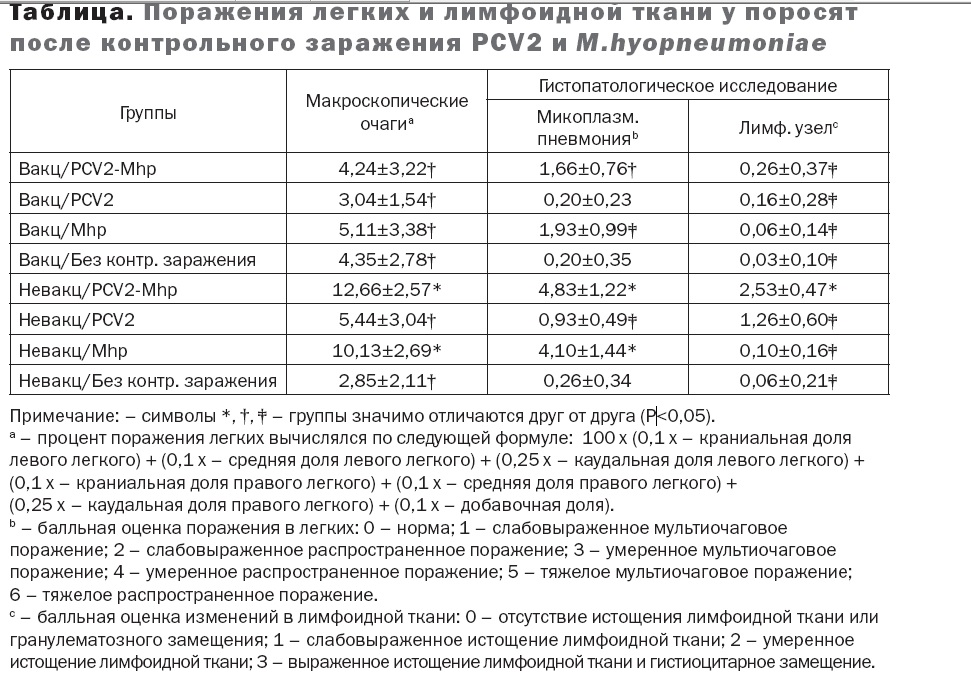 Микоплазмоз у кошек схема лечения