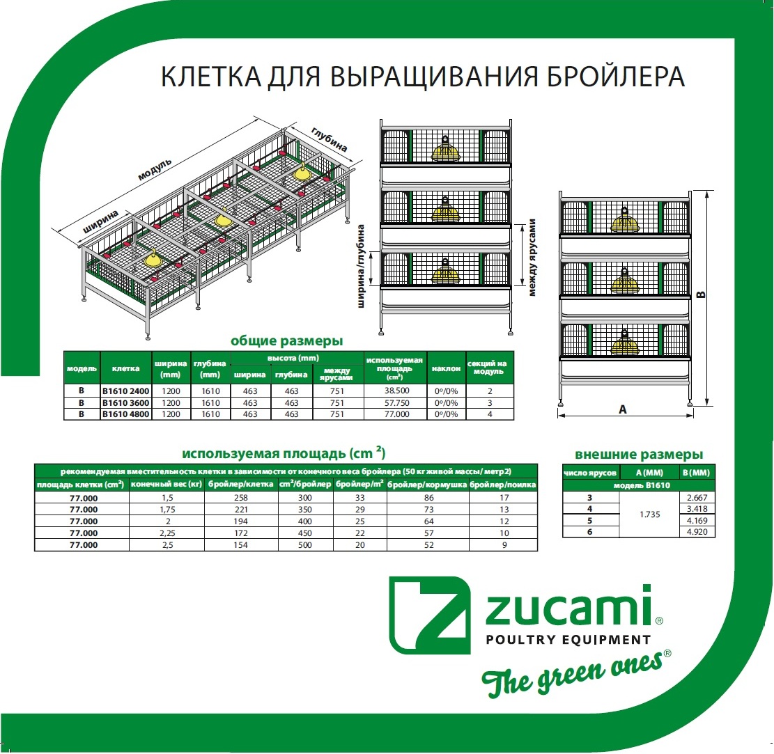 Клетка для бройлеров чертеж с размерами