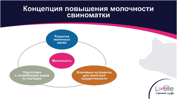 Изображение выглядит как текст, снимок экрана, круг, Шрифт Содержимое, созданное искусственным интеллектом, может быть неверным.