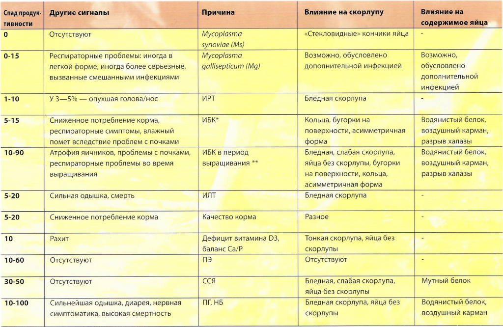 Модель непрерывного образования педагогов. Техническое обслуживание трубопроводов. Перечислите методы измерений метрология. Этапы проектирования газопровода. Приборы для измерения параметров микроклимата.