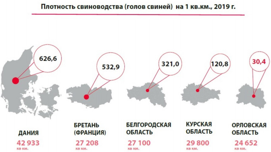 Животноводство статистика. Производство свинины статистика. Динамика поголовья свиней в России. Лидеры по производству свиней в России. Производство мяса свинины в России 2021.