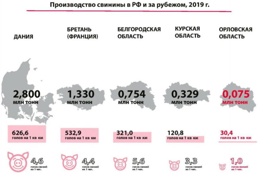 Страны лидирующие в разведении свиней