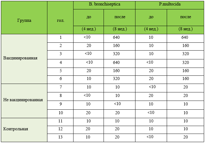 Вакцина от ринита свиней