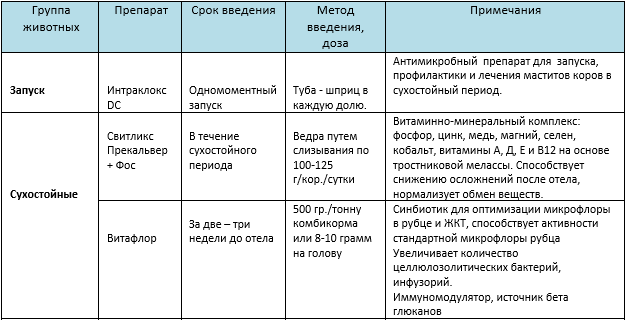 Мастит у кошки схема лечения