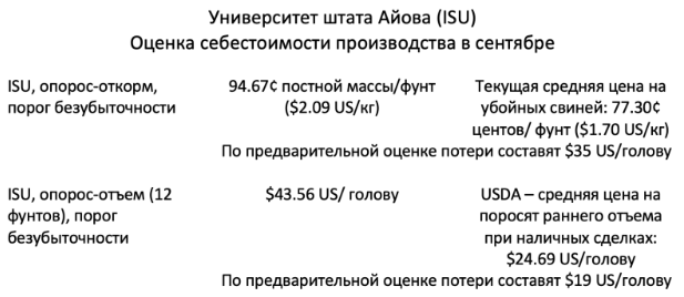 Европейский рынок – производство свинины снизилось на 8%