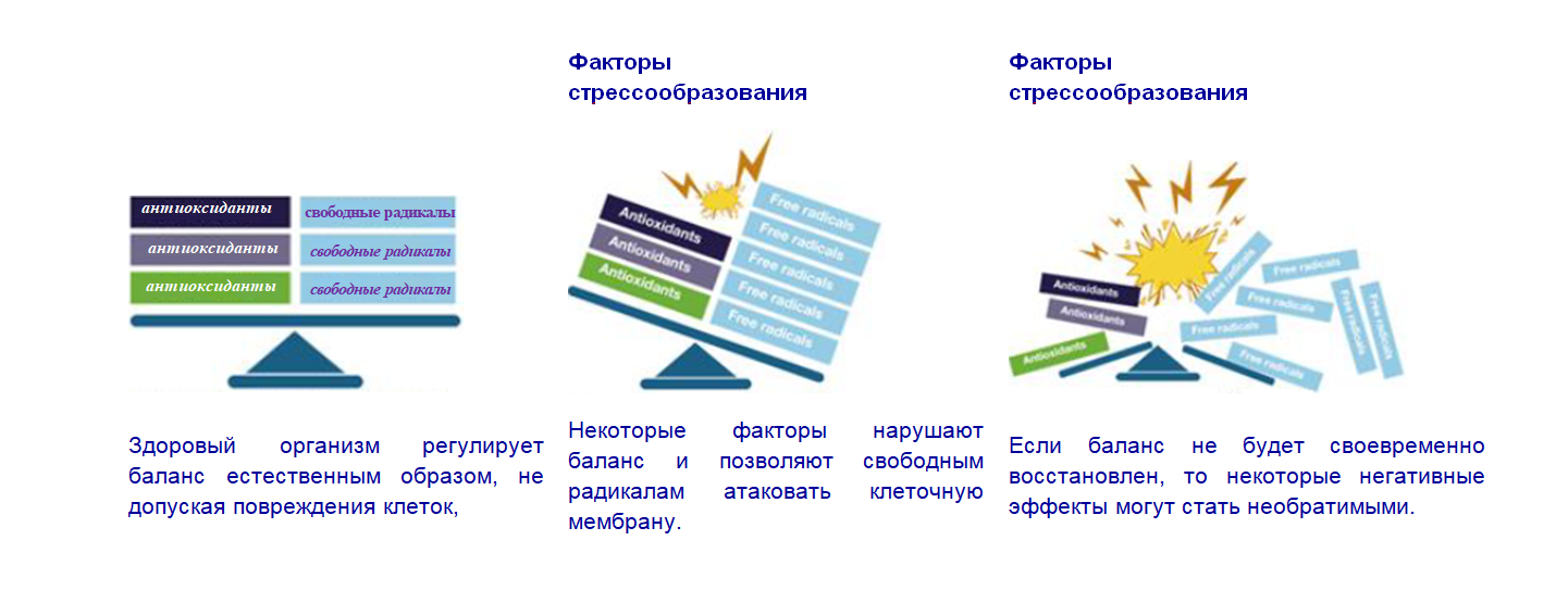 Статьи по свиноводству от партнеров Piginfo