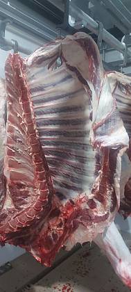 Четвертины быков