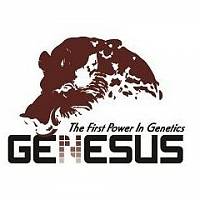 Genesus