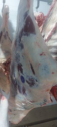 Четвертины быков