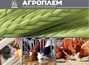 Анализ кормов и сельскохозяйственной продукции