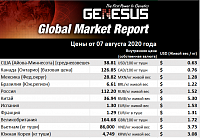 Genesus, обзор мировых рынков. Соединенные Штаты, июль 2020